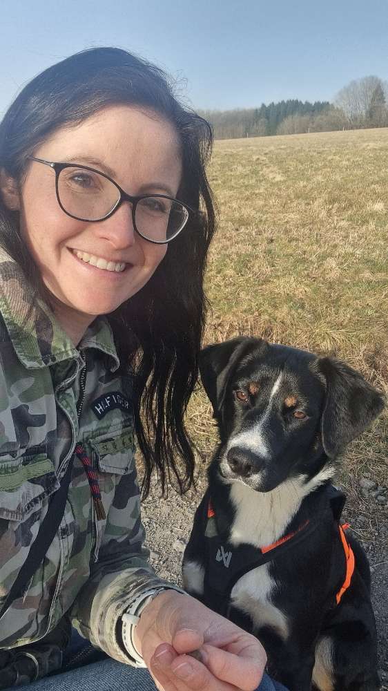 Hundetreffen-Social Walks Nähe Rennerod-Profilbild