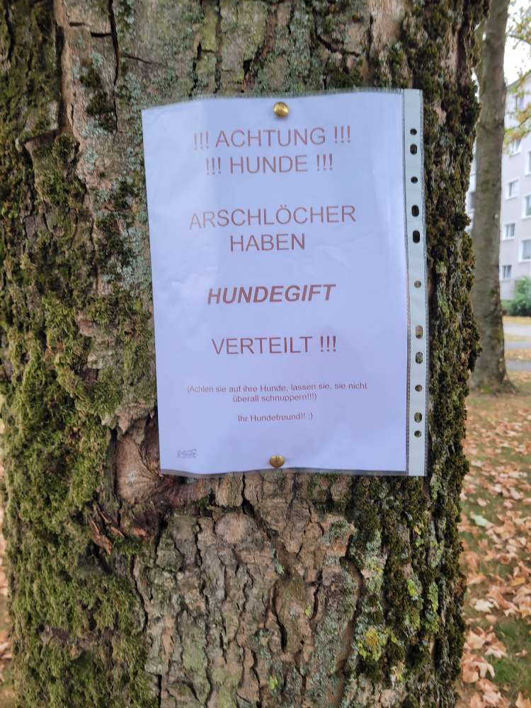 Giftköder-Giftköder-Profilbild