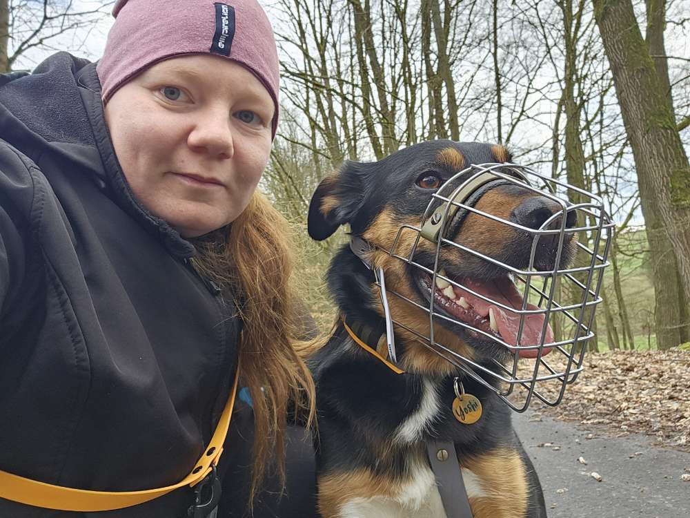 Hundetreffen-TRAUNINGSPARTNER FÜR Begegnungen und spiel und Spaß-Profilbild