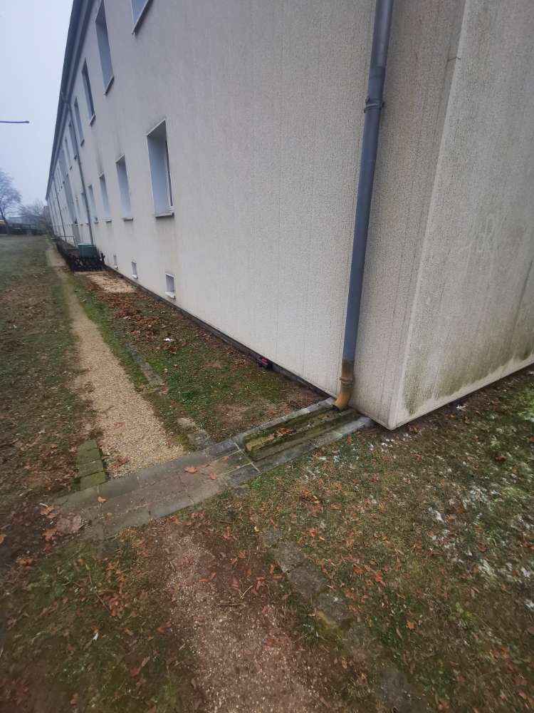 Giftköder-Nagergift / -falle-Profilbild