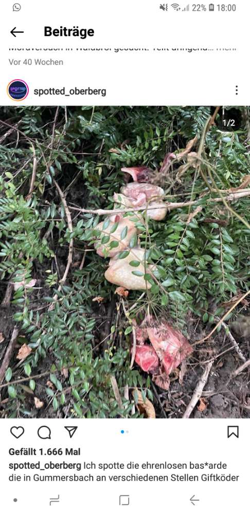 Giftköder-Giftköder-Profilbild