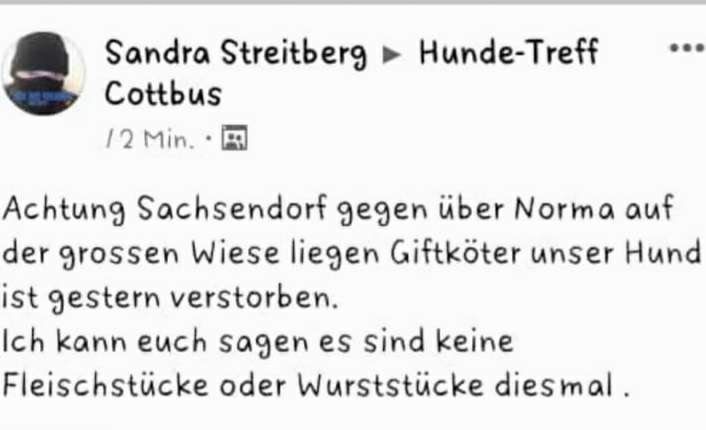 Giftköder-Giftköder-Profilbild