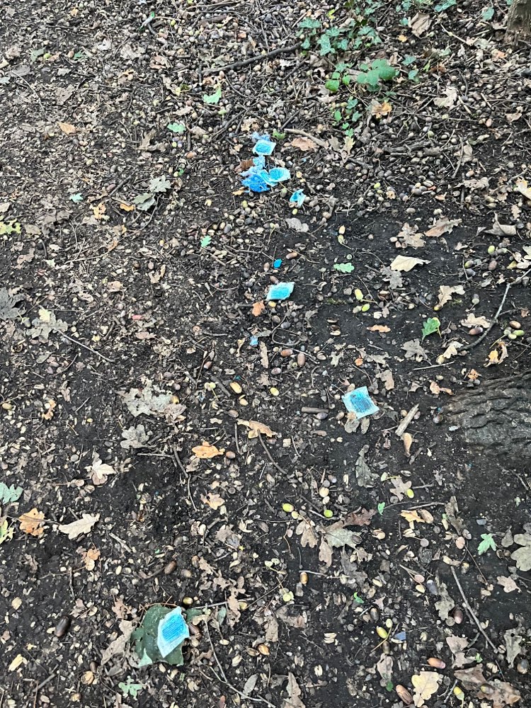 Giftköder-Rattengift-Profilbild