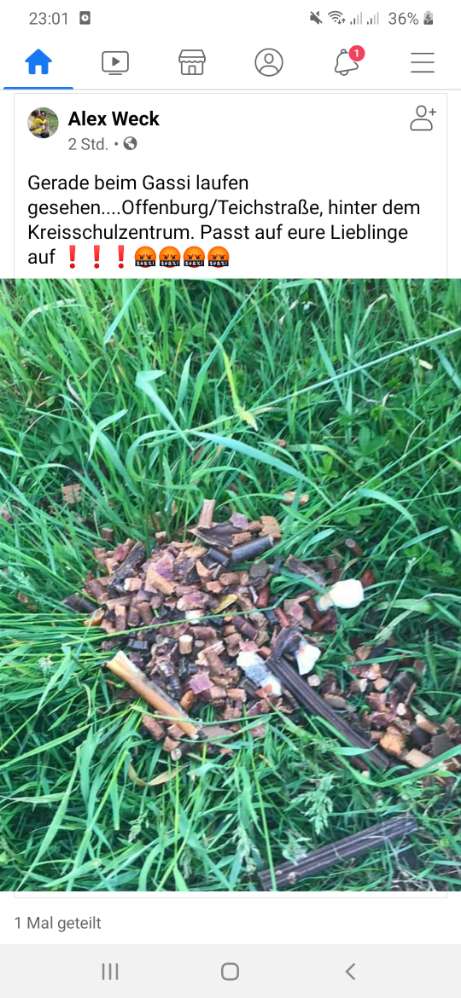 Giftköder-Ausgelegte Leckerlies-Profilbild