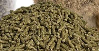 Giftköder-Giftköder/Vogelfutter/Kaninchen futter-Profilbild