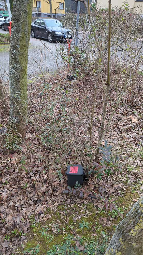 Giftköder-Zwei Giftköder im Gebüsch-Profilbild