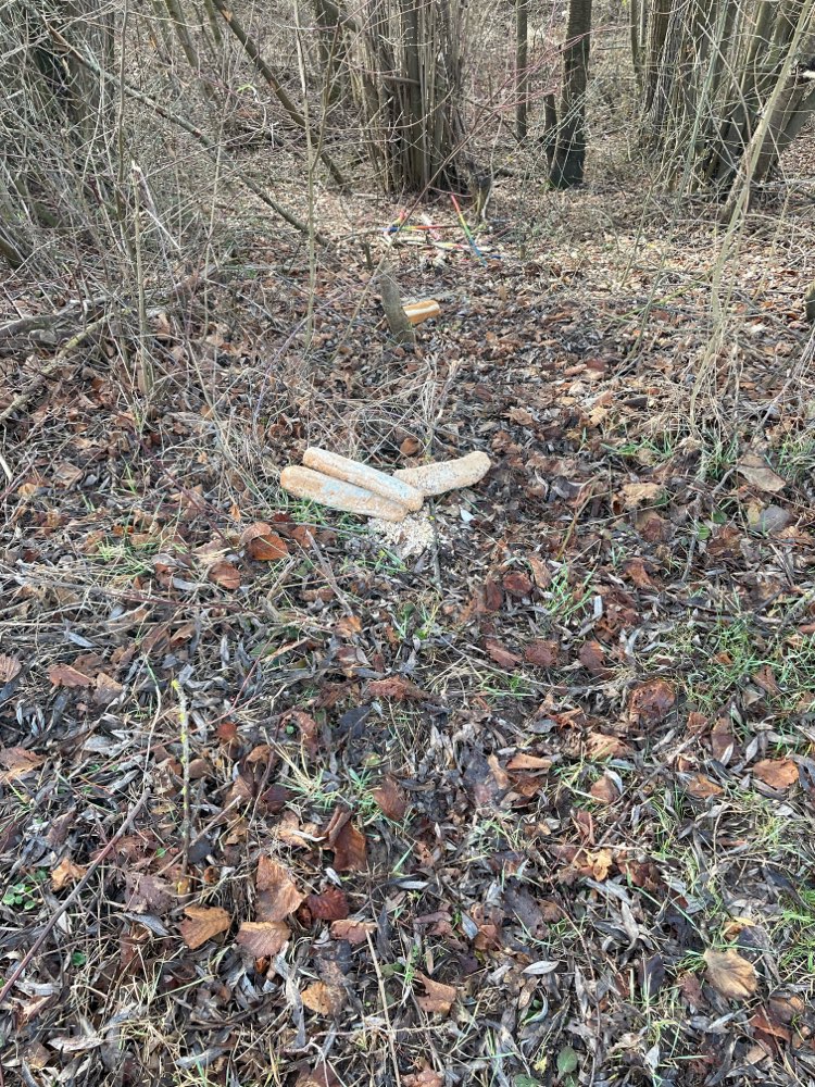 Giftköder-Verschimmeltes Brot-Profilbild