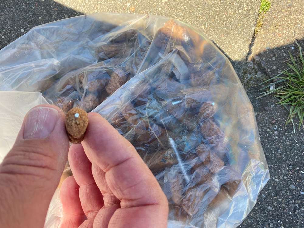 Giftköder-Giftköder-Profilbild