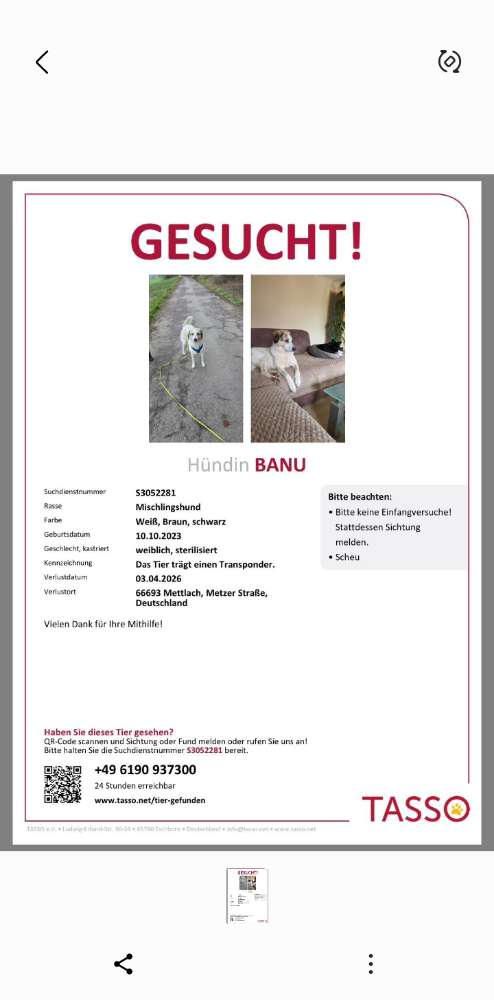 Suchmeldung-Banu-Profilbild