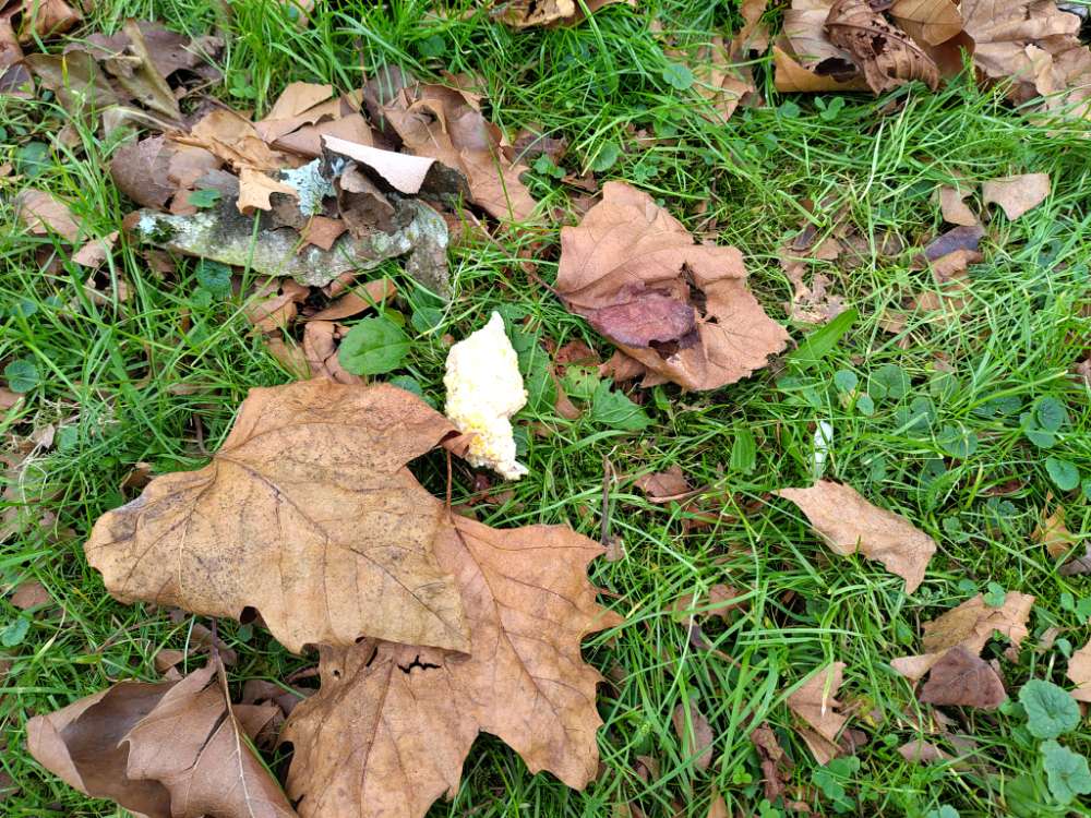 Giftköder-Giftköder?! und Glasscherben-Profilbild