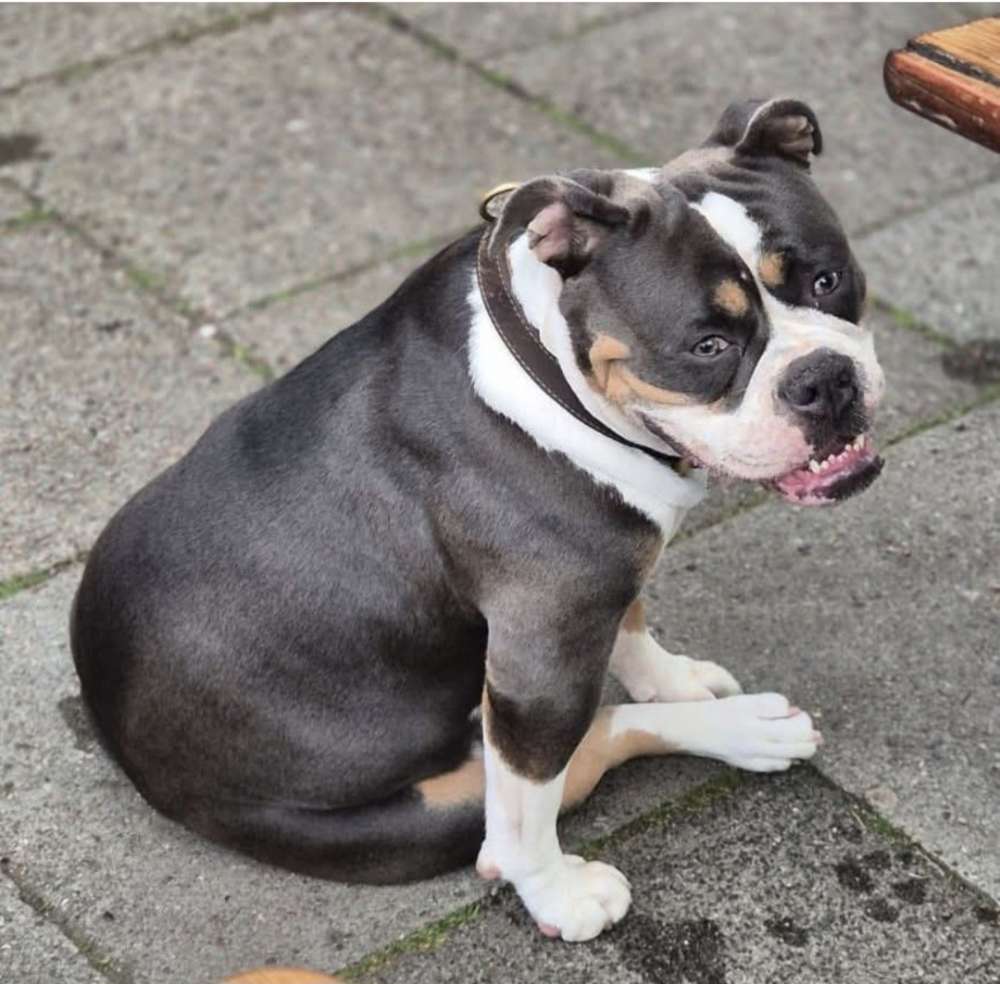 Suchmeldung-Elfi-Profilbild