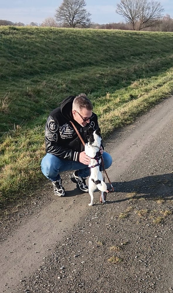 Hundetreffen-gassi-gehen-Profilbild