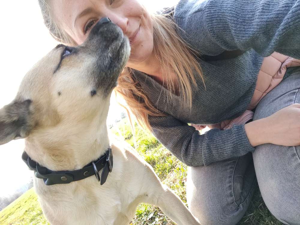 Hundetreffen-Gemeinsame Gassirunden-Profilbild