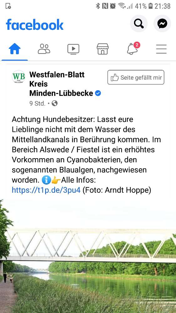 Giftköder-Blaualgen Mittellandkanal-Profilbild