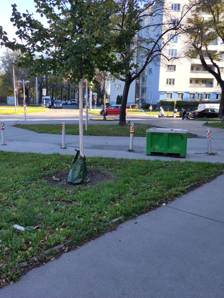 Giftköder-Glassplitter auf Straße und Wiese-Profilbild