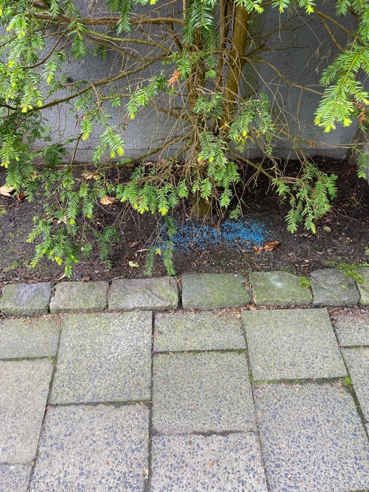 Giftköder-Blaukorn Dünger-Profilbild