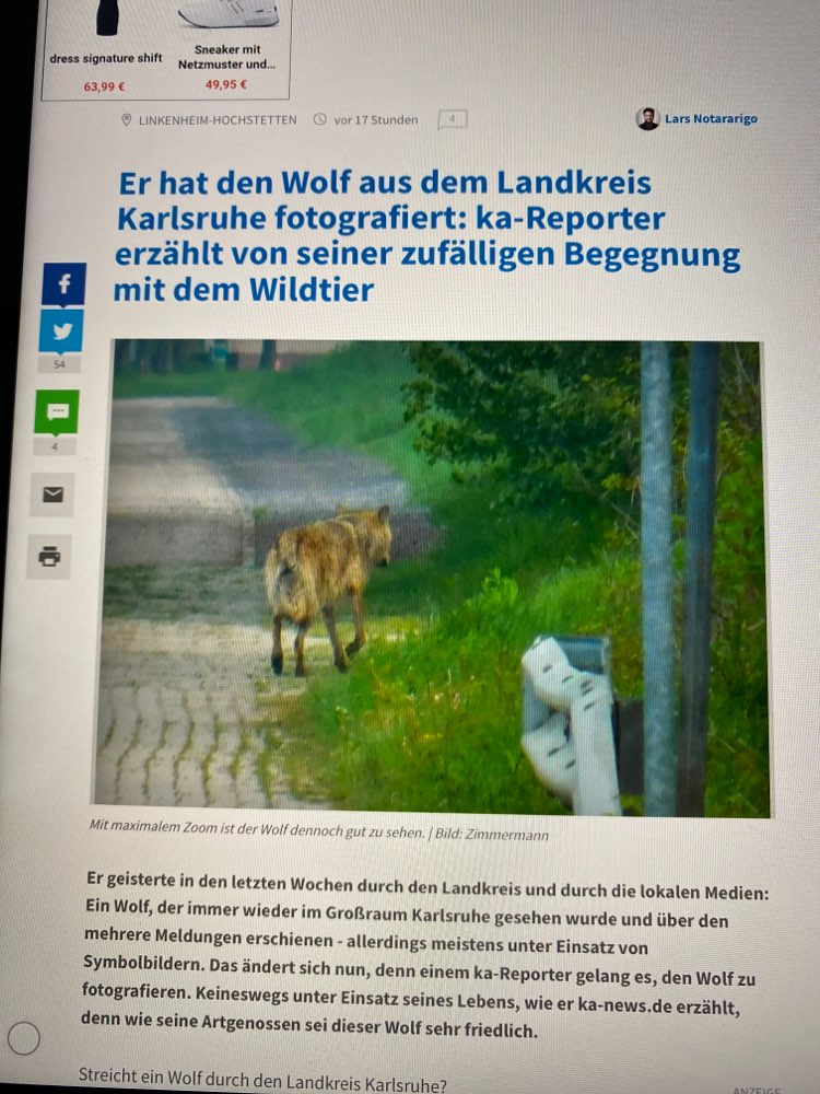 Giftköder-Gerisenes rehkind-Profilbild