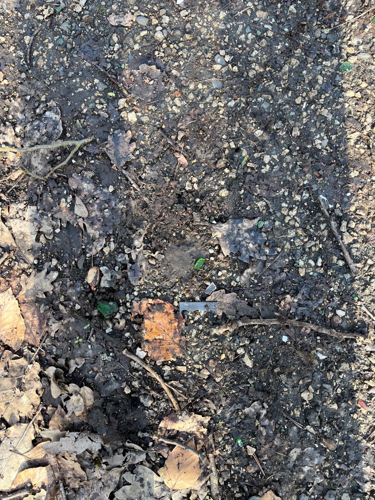 Giftköder-Rasierklinge auf dem Weg-Profilbild