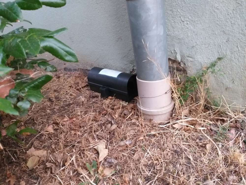 Giftköder-Rattengift-Profilbild