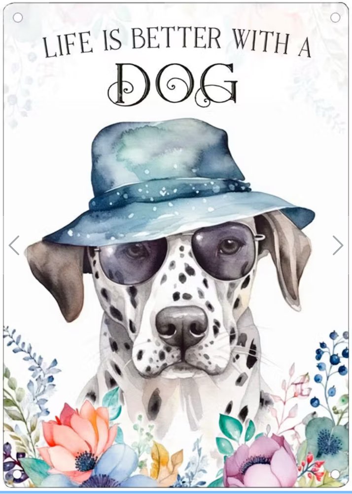 Hundetreffen-Dalmatiner Freiburg 🐾-Profilbild