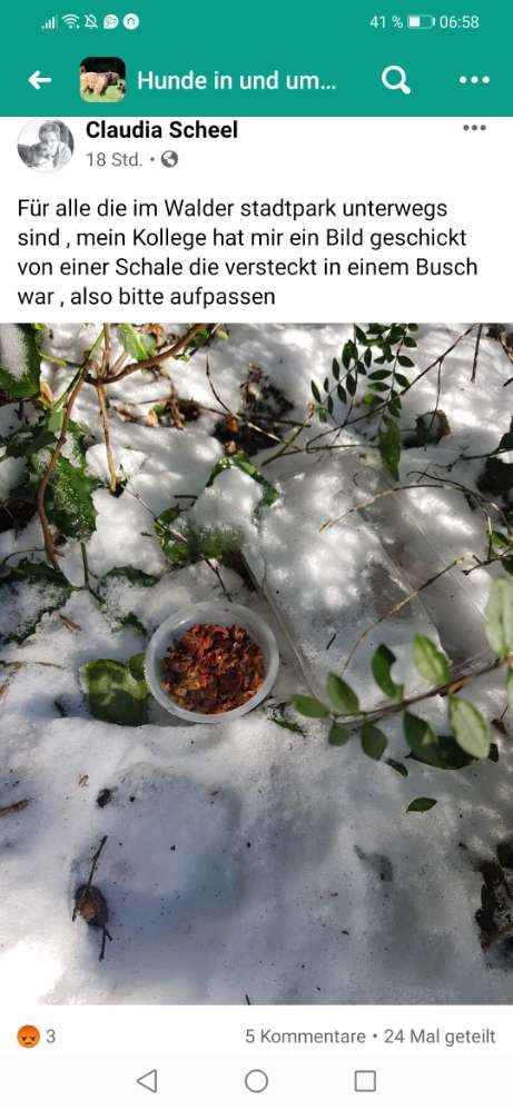 Giftköder-Schale im Gebüsch versteckt-Profilbild