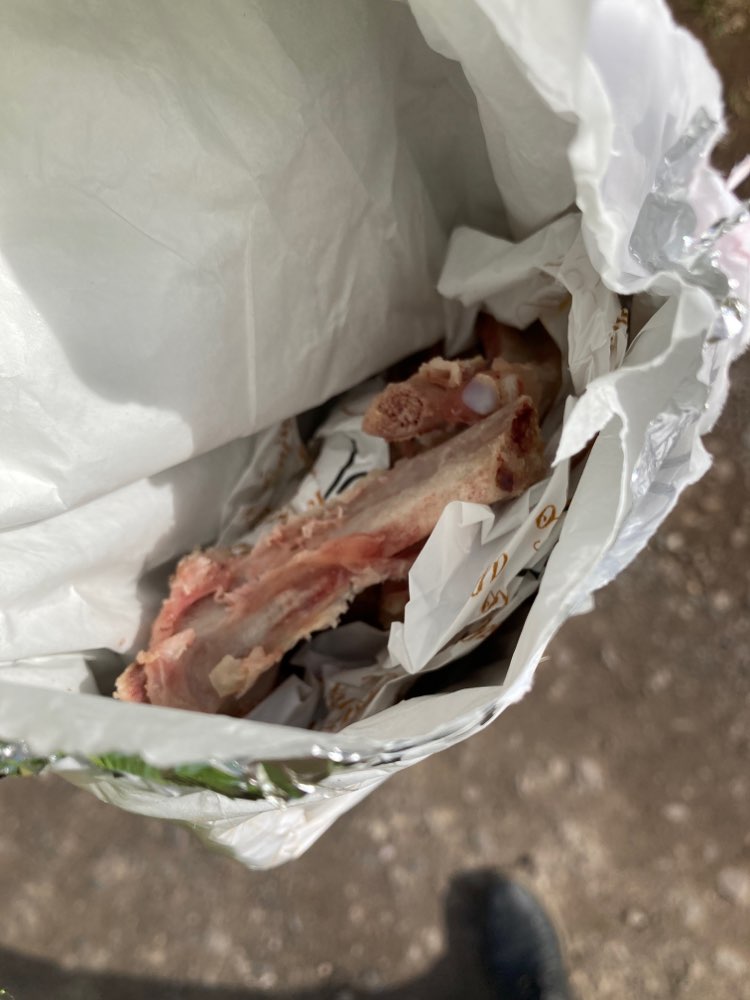 Giftköder-Vermutlich präparierte Knochen-Profilbild