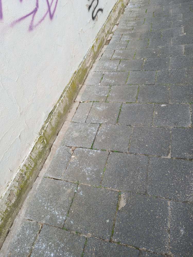 Giftköder-Weisses Pulver im "Gässchen"-Profilbild