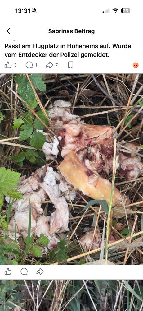 Giftköder-Eventuell Giftköder-Profilbild