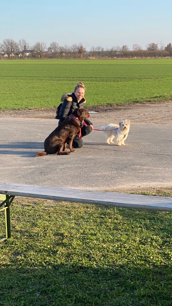 Hundetreffen-Gassi- & Spielkamerade in Bockenheim-Profilbild