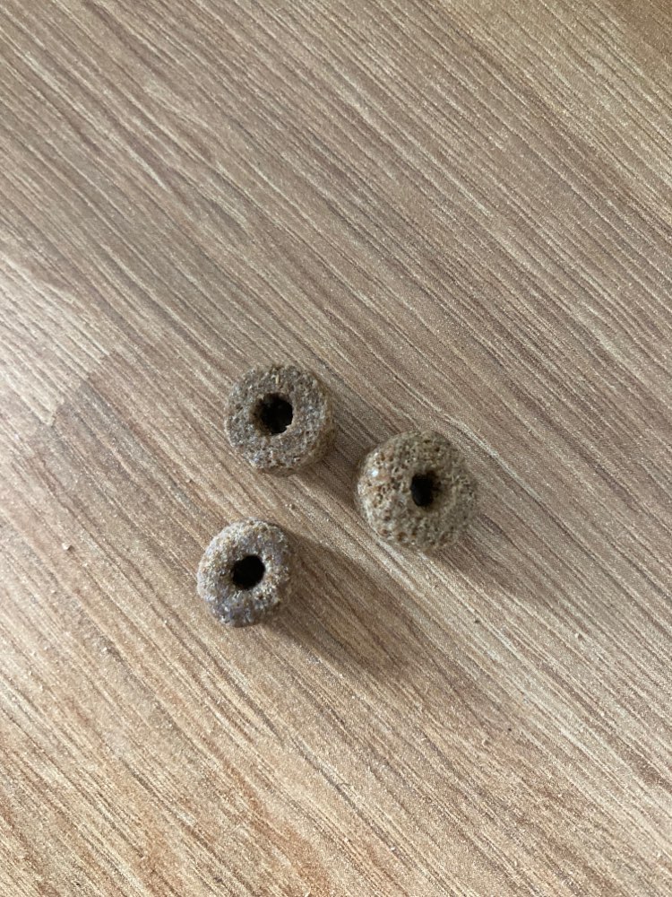 Giftköder-Evtl. Gitftköder-Profilbild