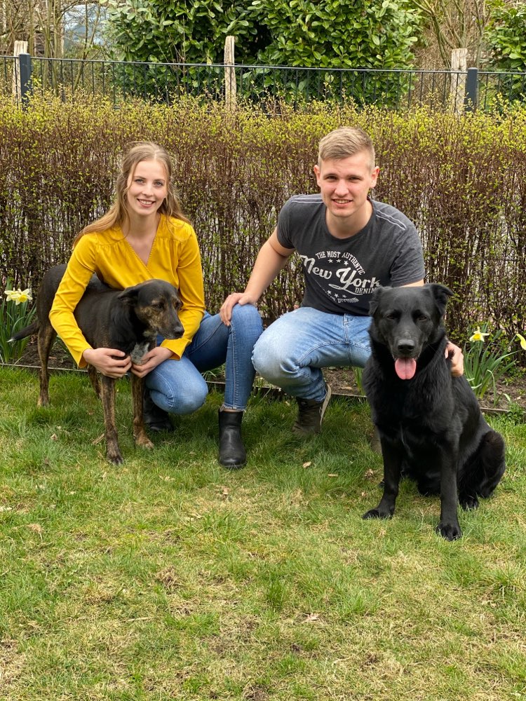 Hundetreffen-Wir freuen uns immer auf neue Runden 🙋🏼‍♀️🐕💙🐕💗-Profilbild