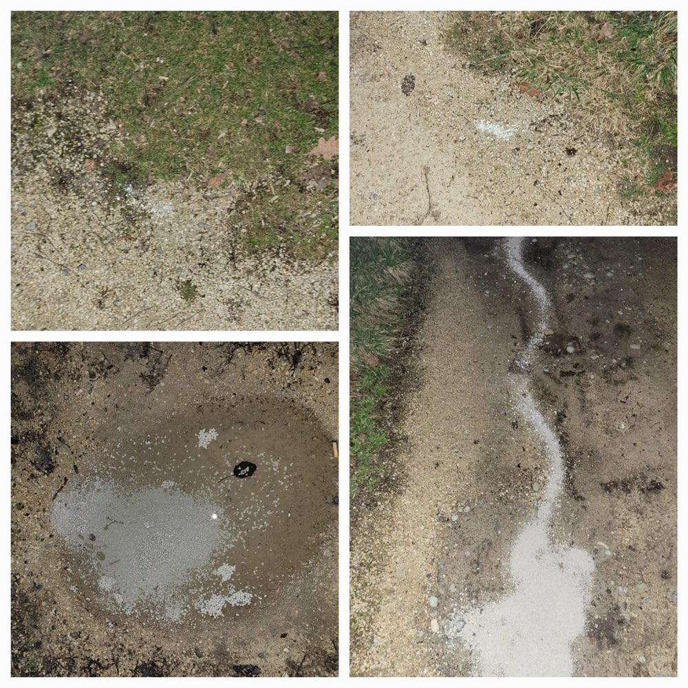 Giftköder-Rattengift in KN-Dettingen-Profilbild