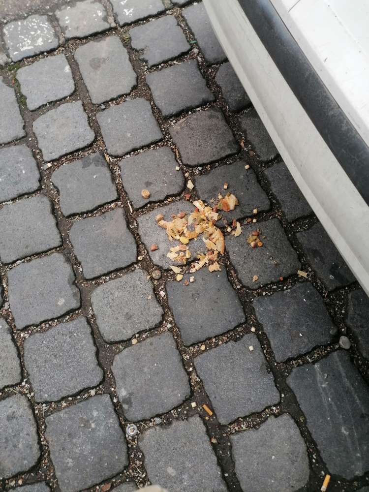 Giftköder-Ausgelegtes Futter-Profilbild