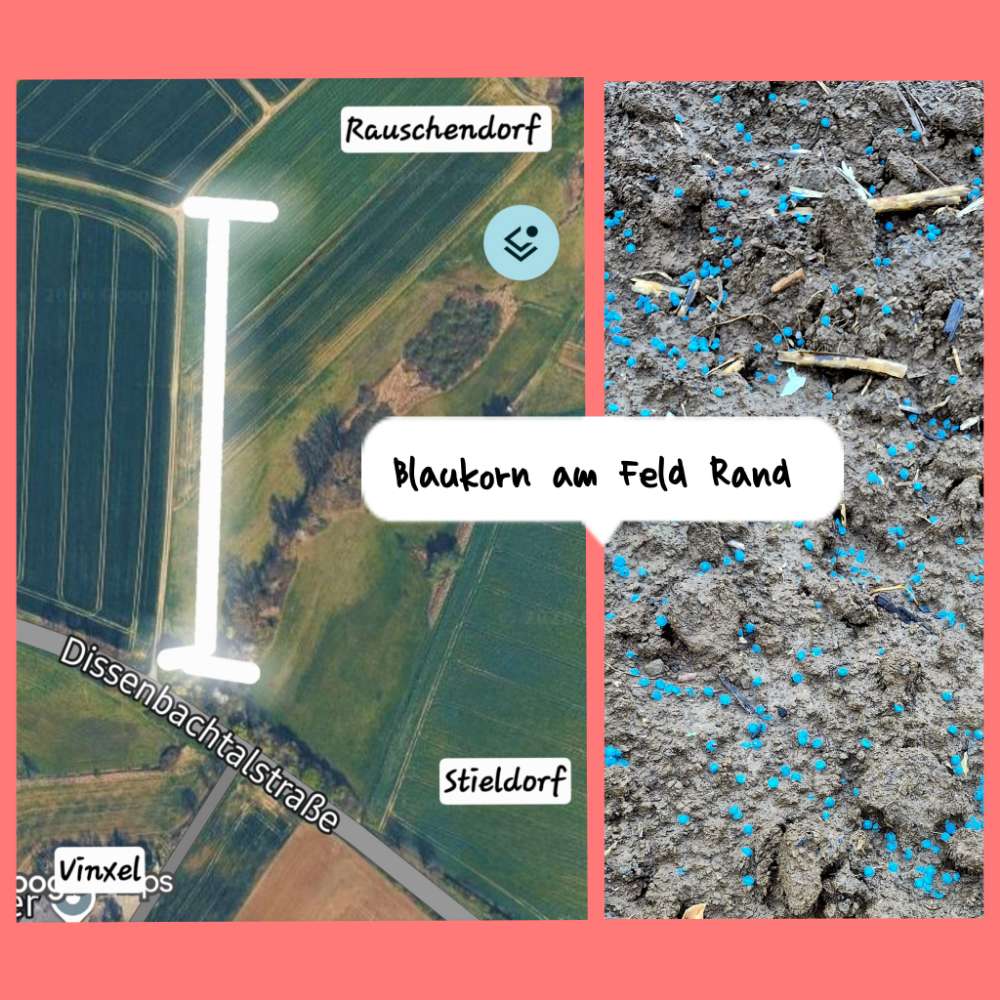 Giftköder-Vermutlich Blaukorn am Rand des Feld-Profilbild
