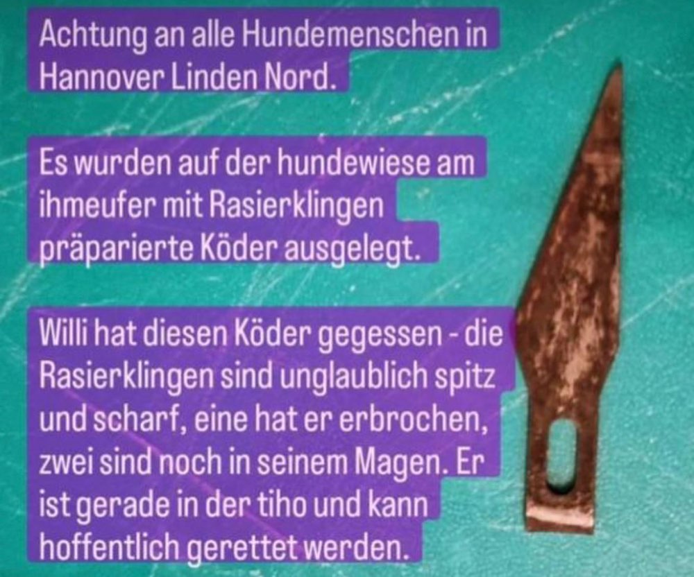 Giftköder-Köder mit Rasierklingen Hundewiese Ihme-Profilbild