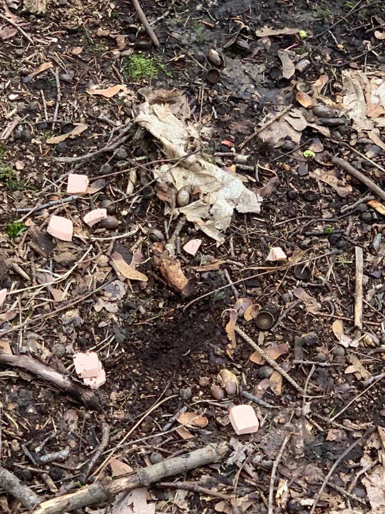 Giftköder-Wurststücke - möglicher Giftköder-Profilbild