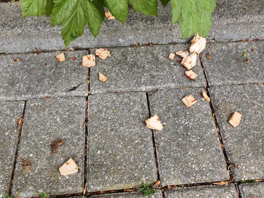 Giftköder-Giftköder in Wurst-Profilbild