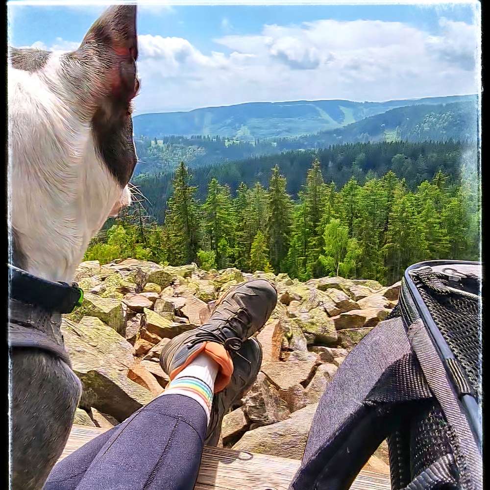 Hundetreffen-Wandern mit den Fellkindern 🐾👣-Profilbild
