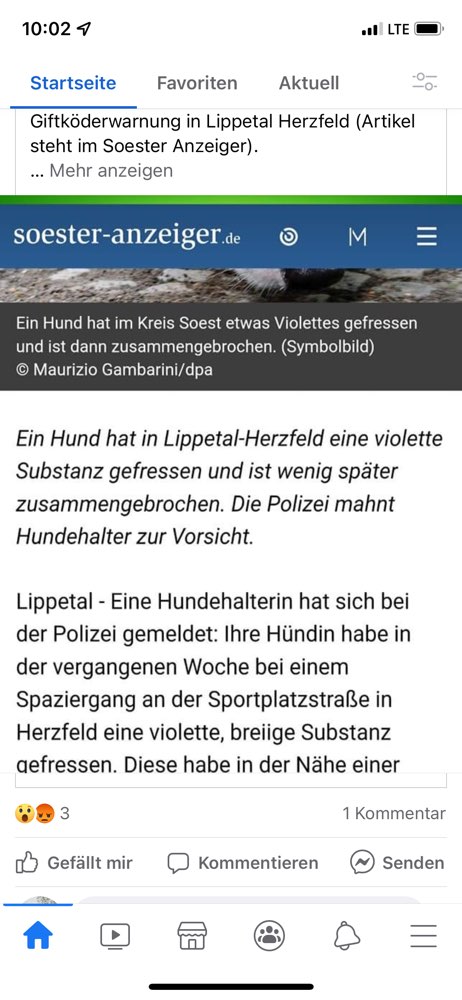 Giftköder-Giftköder-Profilbild