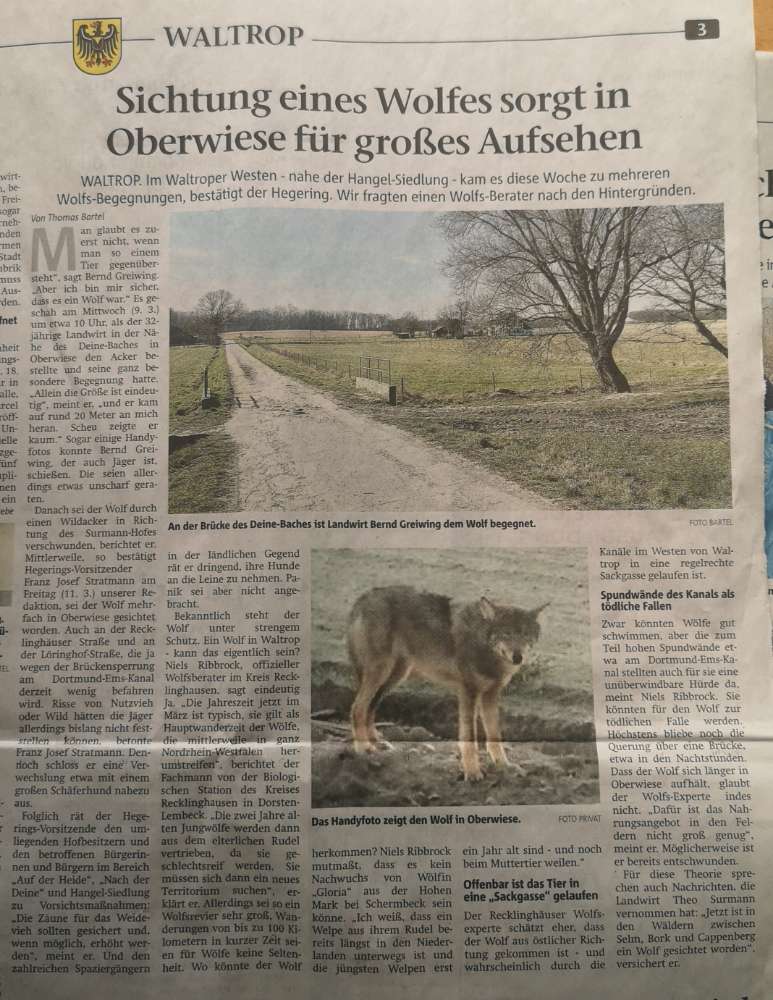 Giftköder-Wolfsichtung in Waltrop-Profilbild