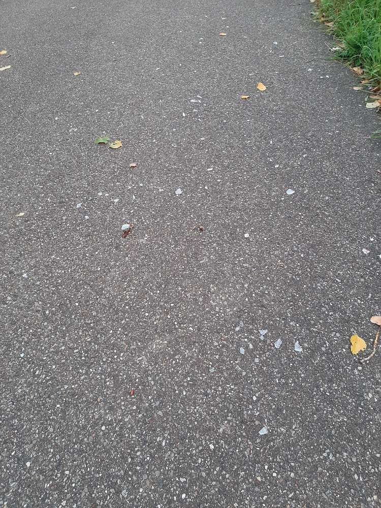 Giftköder-Viele Scherben quer über den Weg-Profilbild