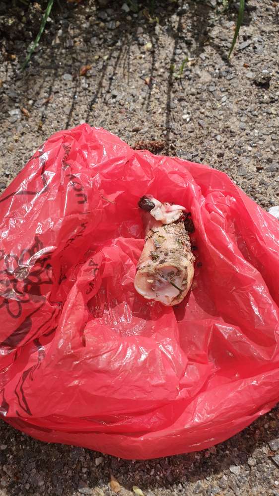 Giftköder-Rohe Geflügelstücke-Profilbild