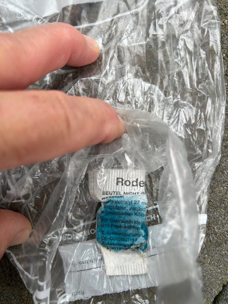 Giftköder-Rattengift angefressen-Profilbild