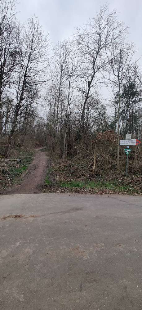 Giftköder-Reißzwecken-Profilbild