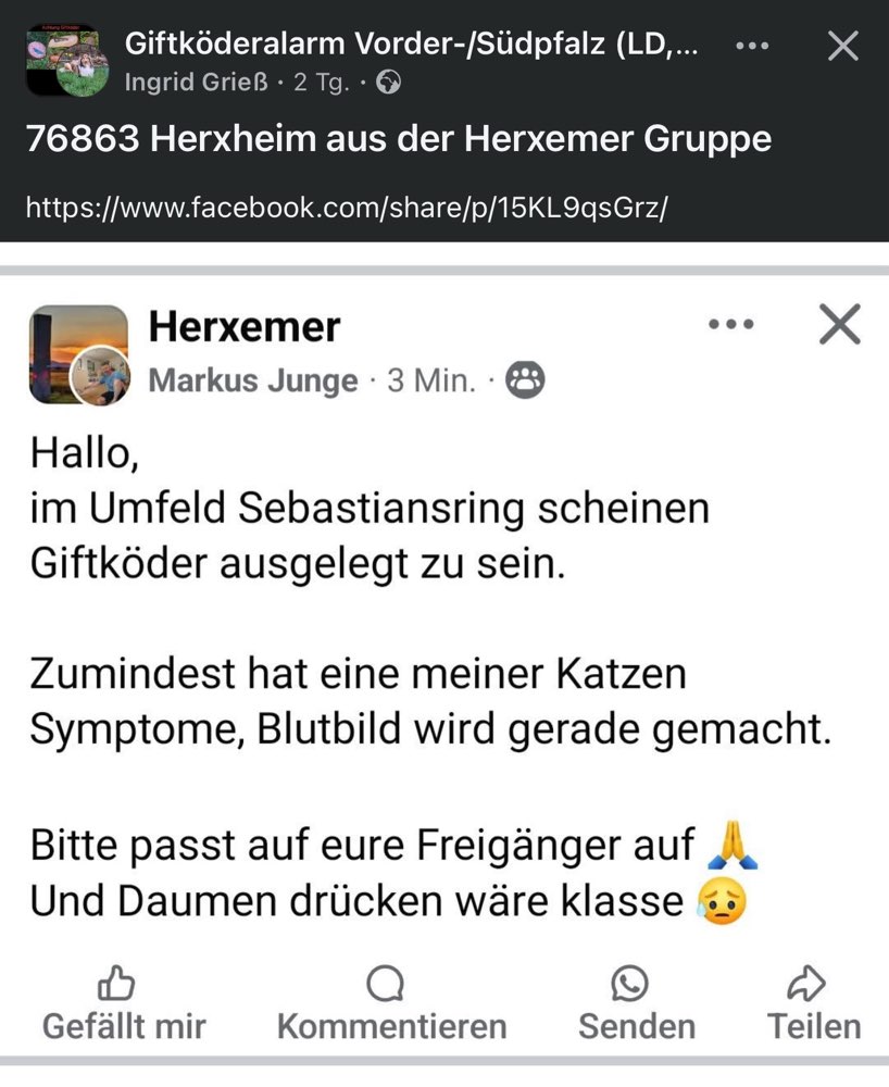 Giftköder-Evtl. Giftköder-Profilbild