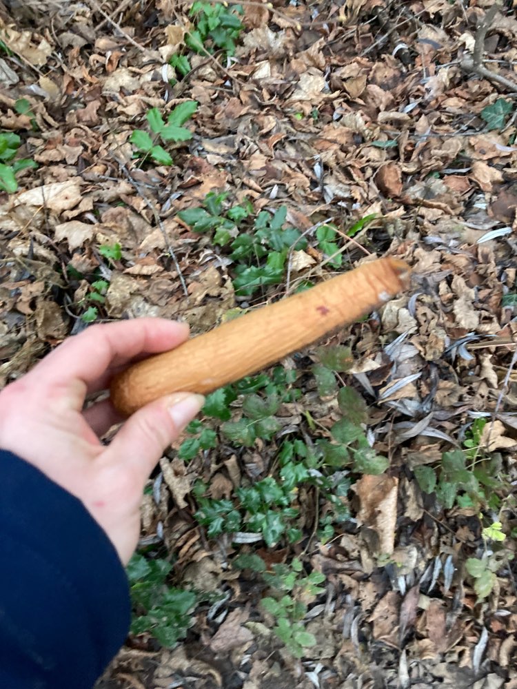 Giftköder-Eventuell Giftköder-Profilbild