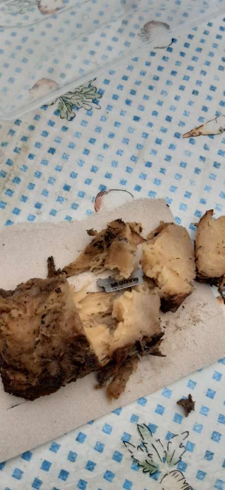 Giftköder-Präparierte Fleischstücke-Profilbild