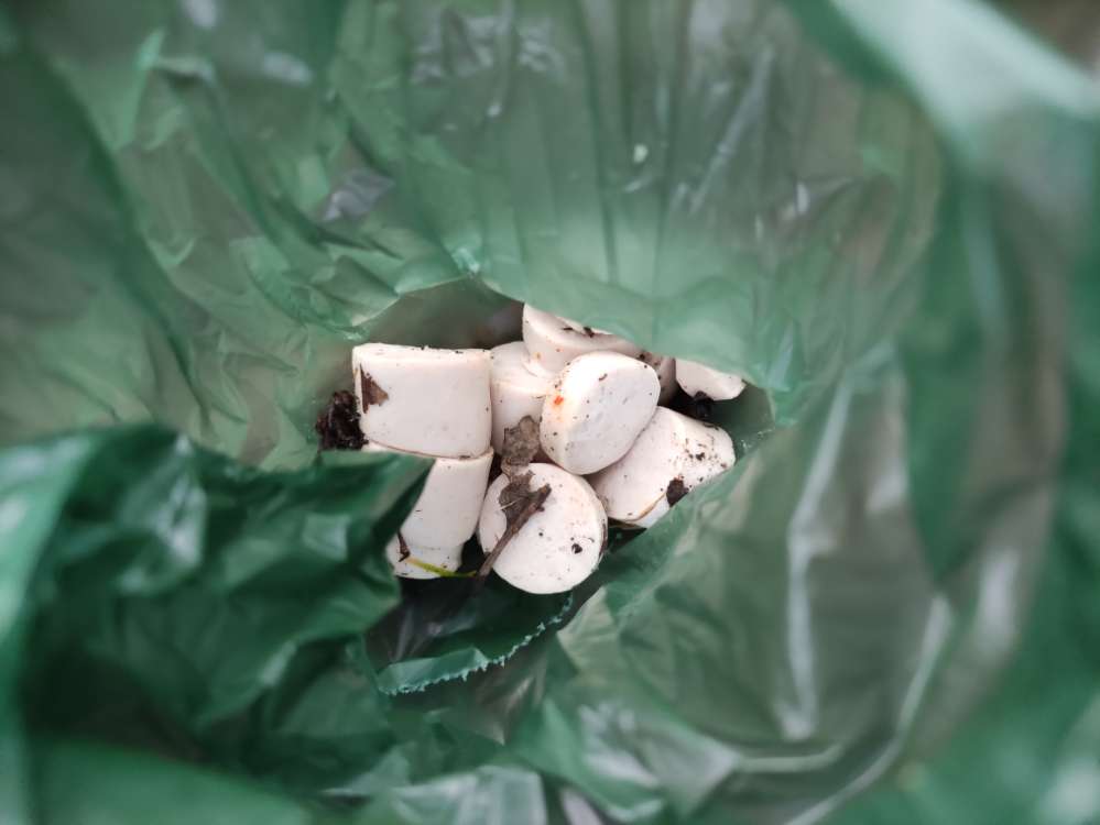 Giftköder-Verdächtige Wurstscheiben-Profilbild