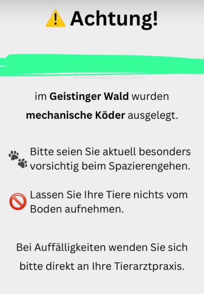 Giftköder-Köder mit Rasierklingen Geistinger Wald-Profilbild