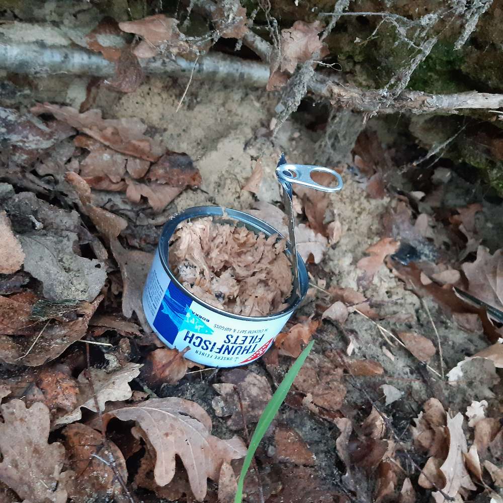 Giftköder-Verdächtige geöffnete Dose Thunfisch-Profilbild